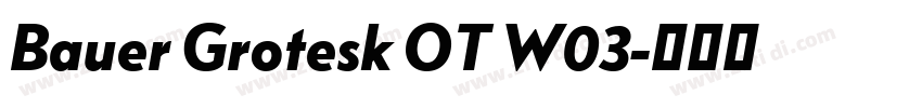 Bauer Grotesk OT W03字体转换